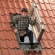 Выход на крышу Velux Gxl 3073 F06 660х1180 мм